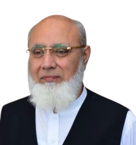 MR. Zia-ul-Islam Portrait